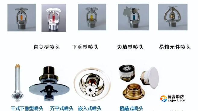 1740979978192722.png image.png