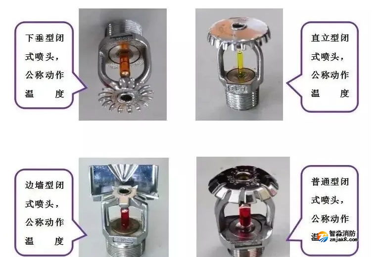 1740980058578735.png image.png